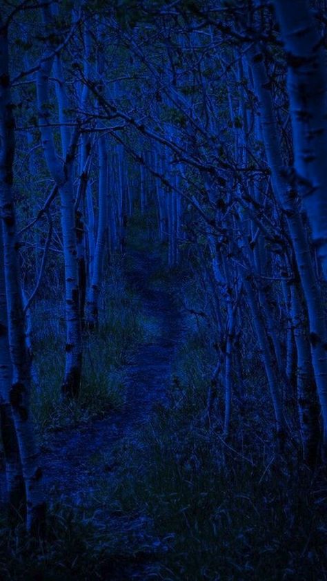 Dark Blue Aesthetic, Blue Trees, Blue Aesthetic Dark, Everything Is Blue, Kind Of Blue, Blue Forest, Pierre Auguste Renoir, Color Studies, Black Aesthetic Wallpaper