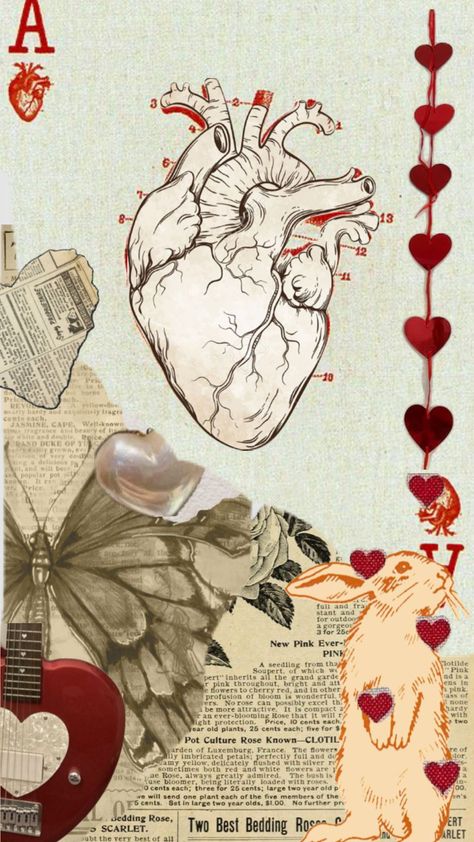 Anatomy Heart Wallpaper, Anatomical Heart Wallpaper, Red Real Heart Wallpaper, Anatomical Heart Wallpaper Iphone, Heart Organ Aesthetic Wallpaper, Aesthetic Anatomical Heart, Nursing Wallpaper, Heart Organ, Heart Pattern Background