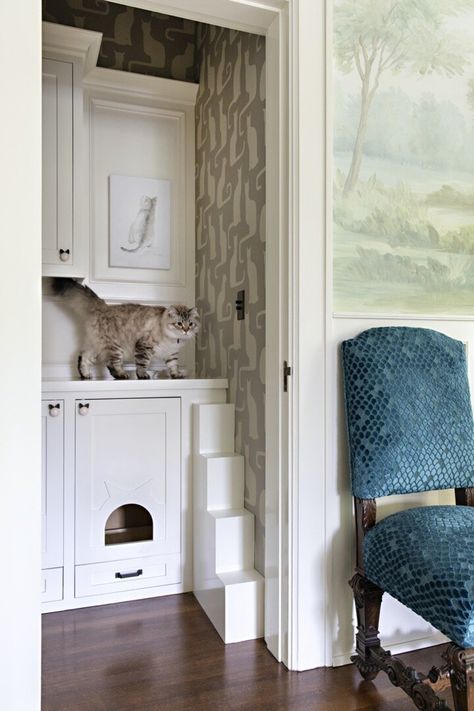 Dining Room Sunroom, Cat Closet, Closet Transformation, Cat Corner, Kids Play Spaces, Cat Kitchen, Custom Wood Doors, Custom Millwork, Pet Design