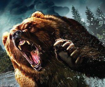 Grizzly Bear Tattoos, Bear Tattoo Designs, Lion Sketch, Angry Bear, Vikings Tv Show, Bear Attack, Lion Drawing, Bear Tattoos, Timber Wolf