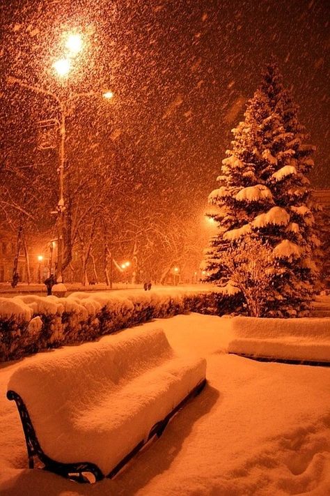 Heavy Snow falling winter snow christmas merry christmas christmas pictures christmas ideas happy holidays merry xmas Snow At Night, Cer Nocturn, Winter Schnee, Winter Szenen, I Love Winter, Street Lights, Winter Love, Winter Magic, Winter Scenery