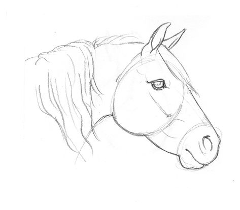 How To Draw A Easy Horse, Horse Face Drawing Step By Step, Drawing Of Horse Head, Drawing Horses Step By Step, Horse Drawing Tutorial Step By Step, Horse Laying Down Drawing, Horse Face Sketch, Horse Sketch Step By Step, How To Draw A Horse Head