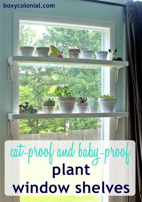 DIY Window Plant Shelves tutorial: Baby and Cat proof (or at least baby and cat resistant) Window Plant Shelves, Window Shelf For Plants, Window Plant Shelf, Plant Window, Window Plants, Window Shelves, Cat Proofing, Plant Shelf, Diy Window