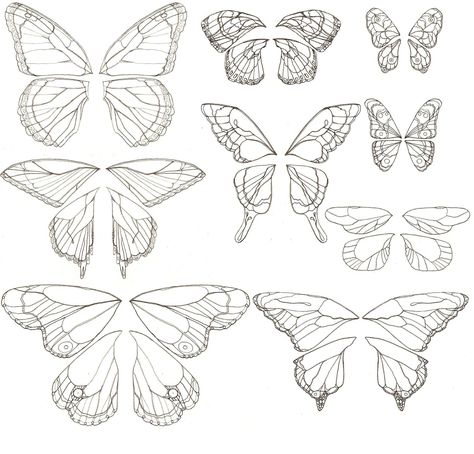 Butterfly Wings Pattern, Wings Drawing, Butterfly Tattoos, Butterfly Drawing, Fairy Wings, Butterfly Art, Animal Tattoos, Butterfly Wings, Butterfly Tattoo