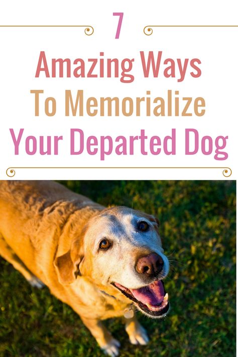 Dog Rip Memories, How To Memorialize A Pet, Ways To Memorialize A Dog, Quotes For Dogs Passing, Dog Memorial Diy, Losing A Dog Quotes, Dog Last Day, Pet Memorial Ideas Dogs, Dead Dog