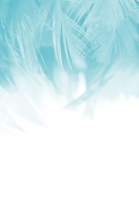 Blue Feather Background, Feather Background Wallpapers, White Blue Background, Feathers Background, White And Blue Background, Blue And White Background, Blue Background Patterns, Black Phone Background, Universe Wallpaper