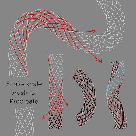 Snake Sketch Tutorial, Snake Muscles Anatomy, Snake Shedding Skin Art, How To Draw Snake Scales Step By Step, How To Draw Snake Skin, Snake Head Anatomy, Snake How To Draw, How To Paint Snake Scales, How To Draw Scales Snake