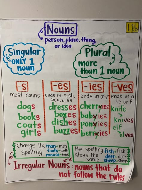 This covers GA standard 3L1b. Form and use regular and irregular nouns. Singular And Plural Nouns Anchor Chart 2nd Grade, Nouns Anchor Chart 2nd, Plural Nouns Anchor Chart 2nd Grade, Plurals Anchor Chart, Irregular Nouns Anchor Chart, Singular And Plural Nouns Anchor Chart, Irregular Plural Nouns Anchor Chart, Plural Nouns Anchor Chart, Regular And Irregular Nouns