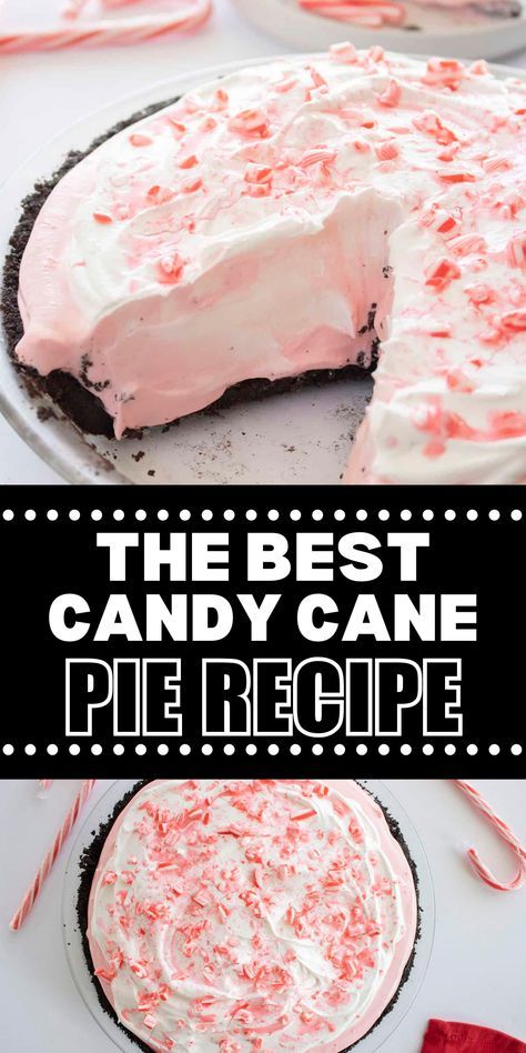 Candy Cane Pie is a sweet & creamy dessert with some peppermint spice to it. An easy no bake holiday pie recipe you need this Christmas! Make it with a homemade Oreo Pie Crust to make this an easy from scratch Christmas dessert. Peppermint Cream Pie Recipe, Peppermint Pie Recipe, Candy Cane Recipes, Peppermint Pie, No Bake Candy, Candy Cane Pie, Holiday Recipes Desserts, Christmas Pie Recipes, Holiday Pies Recipes