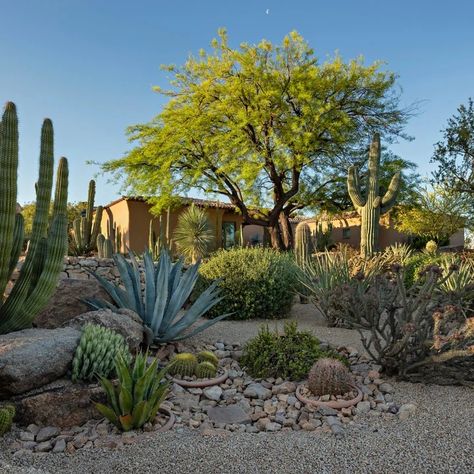 Bertsch - Estancia - Southwestern - Landscape - Phoenix - by Desert Foothills Landscape | Houzz Desert Hillside Landscaping Ideas, Santa Fe Landscape, Desert Landscaping Front Yard, Tucson Landscaping, Steep Hill Landscaping, Santa Fe Ranch, Southwest Landscaping, Dessert Landscaping, Steven Thompson