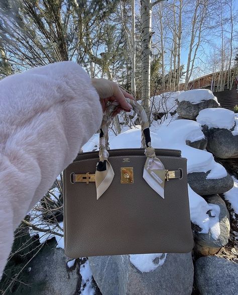 Birkin Twilly, Hermes Birkin Bag 25, Hermes Birkin Etoupe, Birkin 25 Etoupe, Hermes Etoupe, Birken Bag, Bag Twilly, Purse Aesthetic, Uni Bag