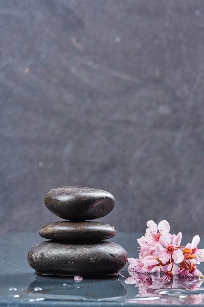 Free Pictures To Use, Zen Background, Vertical Background, Spa Images, Zen Pictures, Mystic Illustration, Instagram Branding Design, Background Space, Spa Interior