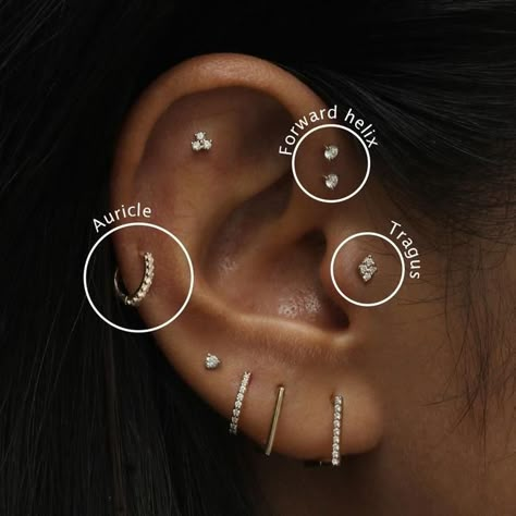 Most Painful Ear Piercings Chart, Ear Piercings Placement Chart, Ušný Piercing, Piercing Guide, Piercings Chart, Ear Piercings Ideas, All Piercings, Minimalist Ear Piercings, Unique Ear Piercings