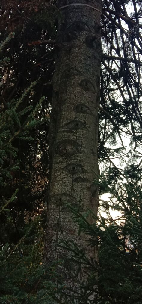 The Trees Have Eyes, Scary Forest Creatures, Creepy Forest Creatures, Forest Monster Aesthetic, Haunted Woods Aesthetic, Forest Cryptid Aesthetic, Faeriecore Aesthetic, Creepy Forest Aesthetic, Trees With Eyes