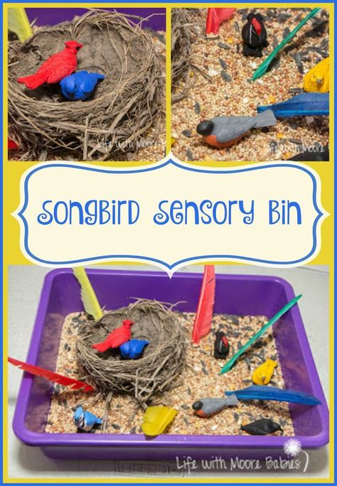 Songbird Sensory Bin for Your Little Birder Montessori Spring, Sensory Play For Babies, March Preschool, Sensory Tables, Birds Theme, Sensory Activities For Kids, Fine Motor Practice, Simple Backyard, Sensory Bags