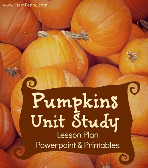 Free Pumpkin Printables, Halloween Unit Study, Pumpkin Lessons, Pumpkins Preschool, Pumpkin Unit, Fall Science, Fall Lesson Plans, Homeschool Holidays, October Ideas