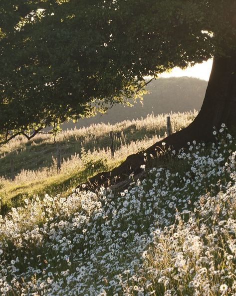 Jane Austen Landscape, Bridgerton Spotify Cover, Jane Bennett Aesthetic, 1810s Aesthetic, Jane Bennet Aesthetic, Modern Elizabeth Bennet Aesthetic, Regency Era Aesthetic Wallpaper, Jane Austen Core, Cordelia Carstairs Aesthetic