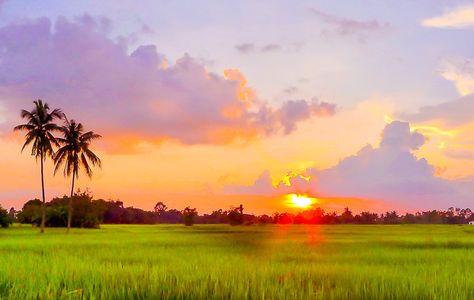 Off the Beaten Path in Thailand - Ubon Ratchathani - Isaan, Thailand Sunrise Landscape Photography, Ubon Ratchathani, Green Village, Best Countries To Visit, Natural Photo, Thailand Photography, Line Art Images, Beautiful Place In The World, Sunrise Pictures