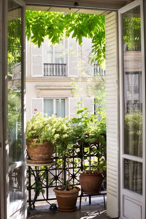 How to Garden Like a Frenchwoman: 10 Ideas to Steal from a Paris Balcony Parisian Balcony, Paris Balcony, Small Urban Garden, French Balcony, Apartment Balcony Garden, Balkon Decor, Balcony Gardens, Small Balcony Garden, Small Balcony Design