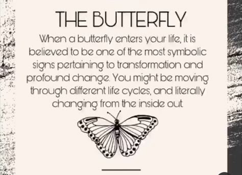 Butterfly Quotes Beautiful, Meaning Of A Butterfly, Meaning Of Butterflies, Meaning Of Butterfly Tattoo, Butterfly Quotes Inspirational, Butterfly Tattoo With Quote, Seeing A Butterfly Meaning, Symbolism Of Butterflies, Seeing Butterflies Meaning