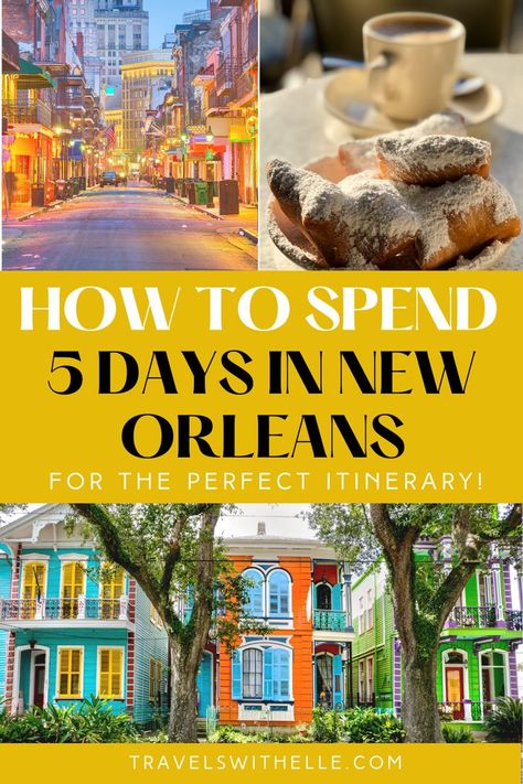 5 Days In New Orleans New Orleans Itinerary, New Orleans Travel Guide, Swamp Tours, New Orleans Vacation, Louisiana Travel, The Big Easy, The French Quarter, New Orleans Travel, Garden District