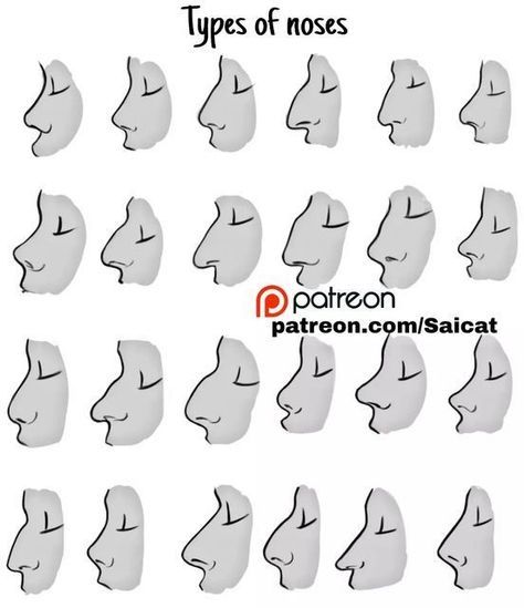 Types Of Noses Drawing Reference, Nose Types Drawing Reference, Different Type Of Noses, Nose Shape Reference Drawing, Nose Design Drawing, Nose Types Reference, Different Nose Types Drawing, Character Designing Tips, Different Noses Reference