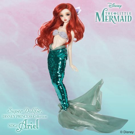 Volks Super Dollfie - SD, SD13, SD16, SD17, SDGr, SDGou & FCS - XXXIII | Page 24 | Den of Angels Super Dollfie, Disney Princess Collection, Little Mermaid Characters, Ariel Doll, Elsa Doll, Ariel Disney, Ariel Mermaid, Disney Elsa, Mermaid Disney