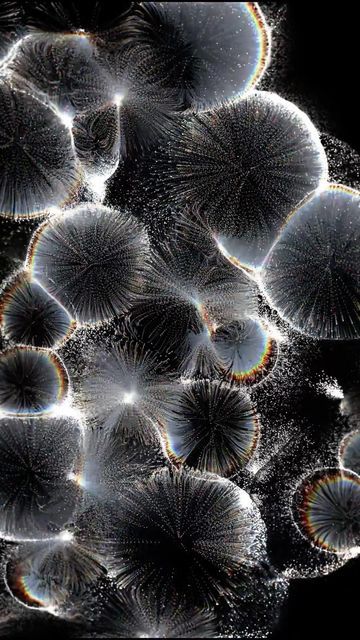 Touch Designer Generative Art, Touchdesigner Art, Biology Design, Touch Designer, Organic Artwork, State Of Matter, Digital Ecosystem, Earth Texture, Art In Motion