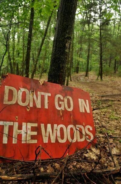 mark my woods if you see this sign on halloween dont ignore it or it will be your doom....dont go into the woods , ominous warning Hayride Ideas, Halloween Hayride, Haunted Trail Ideas, Trail Ideas, Haunted Trail, Hay Ride, Images Terrifiantes, Haunted Woods, Marla Singer