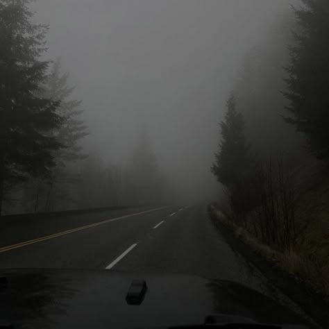 Dark Naturalism, Dark Forest Aesthetic, Rainy Day Aesthetic, Foggy Forest, Dark Nature Aesthetic, Dark Paradise, Gray Aesthetic, The Fog, Night Aesthetic