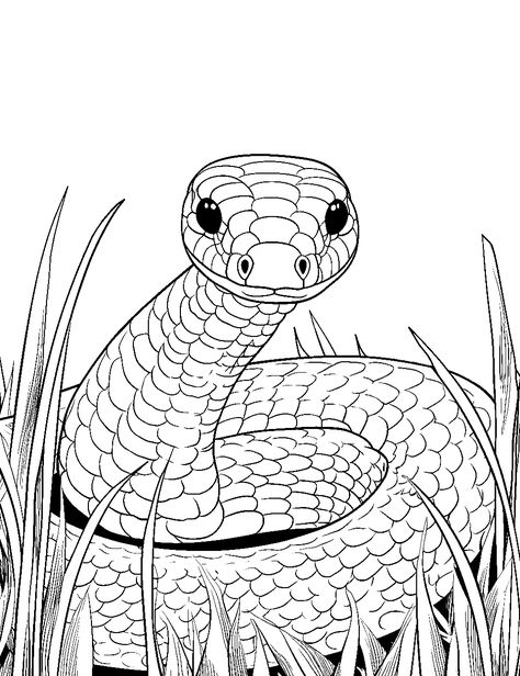 Snake in the Grass: A fierce snake steadily waiting in tall grass for its prey to come. (Free Printable Coloring Page for Kids) Snake Coloring Pages, Frog Coloring Pages, Cute Snake, Butterfly Printable, Horse Coloring Pages, Thanksgiving Coloring Pages, Dog Coloring Page, Dinosaur Coloring Pages, Dinosaur Coloring