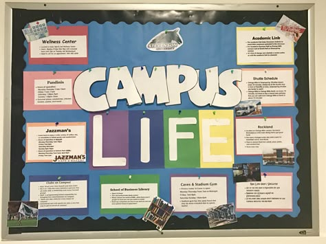 Male Ra Bulletin Boards, Ra Bulletin Boards Freshmen, Ra Bulletin Boards Resources, Ra Bulletin Boards Campus Resources, September Bulletin Board Ideas College, Back To College Bulletin Boards, Back To School Ra Bulletin Boards, Ra Travel Theme Bulletin Boards, Ra Birthday Board