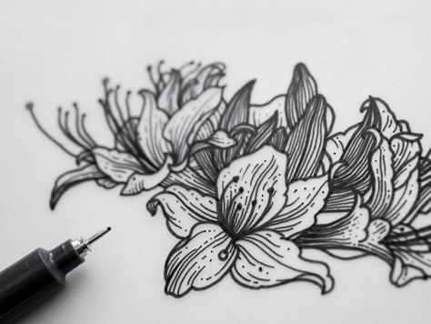 Azalea Illustration, Azalea Drawing, Azalea Flower Tattoo, Flowers Azalea, Azalea Tattoo, Toxic Flowers, Poisonous Flowers, Taboo Tattoo, Badass Drawings