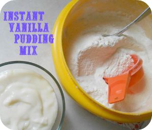 Homemade Instant Vanilla Pudding Mix | AllFreeCopycatRecipes.com Vanilla Pudding Recipes, Sugar Free Vanilla Pudding, Homemade Vanilla Pudding, Cooking Easy Recipes, Homemade Dry Mixes, Sugar Free Pudding, Homemade Pudding, Diy Mixes, Dry Mixes