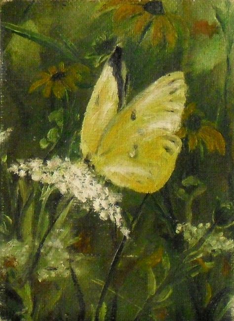 "Fine art 5 X 7 print of my original oil painting \"Yellow Butterfly\".  This sweet yellow butterfly is perched on a Queen Ann's Lace amid a field of wild flowers including Black Eyed Susan.   Printed on canvas using archival ink.   Thanks for looking.  Come back soon." Field Of Wild Flowers, Butterfly Acrylic Painting, Butterfly On Flower, Painting Yellow, Nature Drawing, Butterfly Painting, Yellow Art, Yellow Butterfly, Black Eyed Susan