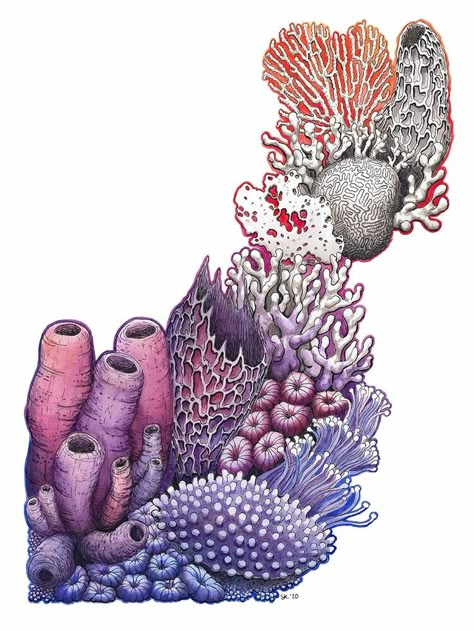 Coral Reef Drawing Realistic, Sea Coral Drawing, Corals Painting, Coral Reef Illustration, Coral Illustration, Coral Reef Drawing, Stephanie Kilgast, Coral Artwork, Coral Drawing