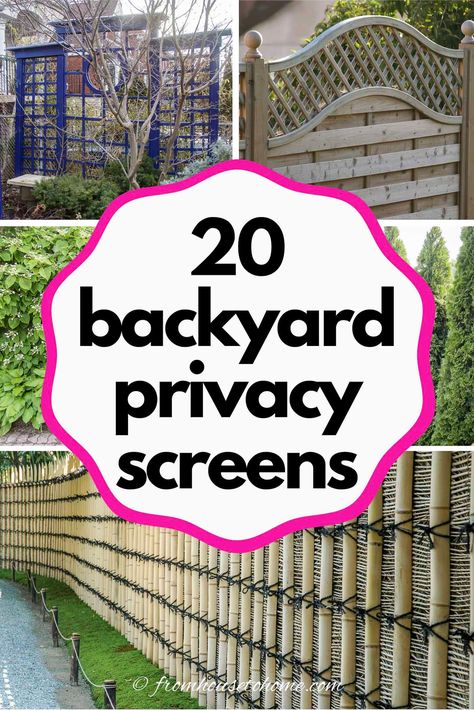 Great outdoor privacy screen ideas! I love the DIY trellises and garden screens that look great in your landscaping and help to make your yard more private. #fromhousetohome #gardenprivacy  #gardendesign #gardenstructures #gardeningtips #landscaping Yard Privacy Ideas, Lattice Privacy Fence, Back Yard Privacy, Lattice Privacy Screen, Arbors And Pergolas, Privacy Trellis, Backyard Privacy Screen, Perennials Flowers, Yard Privacy