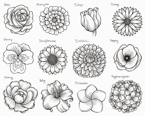 Different Types Of Drawing, Simple Flower Drawing, Doodle Art Flowers, Tree Drawings Pencil, Flower Drawing Tutorials, Different Types Of Flowers, Flower Drawing Design, Flower Outline, Flower Art Drawing