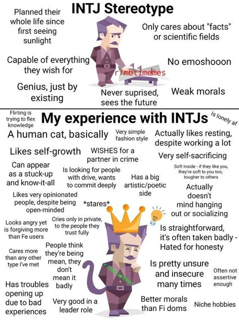 Intj Stereotype Vs Reality, Intj Personality Traits, Intj Vibes, Intj Characters, Entp And Intj, Intj Humor, Personalidad Enfp, Intj Enfp, 16 Personality Types