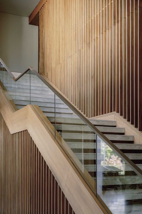 A modern home with a staircase that includes a glass and wood handrail. Glass Handrail, Staircase Handrail, Building Stairs, Timber Slats, Glass Stairs, Glass Staircase, Outdoor Dining Room, Internal Courtyard, Staircase Railings