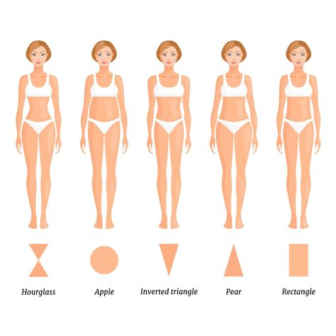 What is My Body Shape: Quickest Way To Find Your Body Type What Is My Body Shape, Body Shape Chart, Body Shape Calculator, Versatile Fall Outfits, Body Shapes Women, Body Shape Guide, Types Of Body Shapes, Learning Drawing, Body Type Drawing