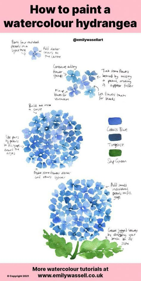 Painting Hydrangeas Watercolor, Hydrangeas Painting Easy, Hydrangea How To Draw, Watercolour Hydrangeas How To Paint, Step By Step Hydrangea Painting, Hydrangea Drawing Tutorials, Watercolor Flowers Hydrangea, Watercolor Art Hydrangea, White Hydrangea Watercolor