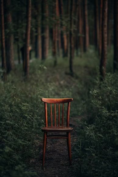 A wooden chair sitting in the middle of a forest photo – Free Chair Image on Unsplash Blur Image Background, Nature Background Images, Blurred Background Photography, Canvas Background, Beach Background Images, Blur Photo Background, Photo Background Images Hd, Background Images For Editing, Blur Background In Photoshop