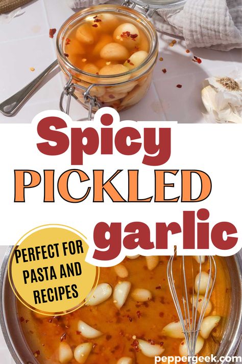 This spicy pickled garlic is a great way to use up a harvest of garlic from the garden. Add it to pasta dishes or other recipes for spice and flavor. Spicy Canning Recipes, Hot Pickled Garlic, Pickled Garlic Recipes Canning, Pickle Garlic Recipes, Pickled Garlic Recipes Easy, Garlic Preservation, Pickled Garlic Recipes, Pickled Garlic Cloves, Spicy Pickled Garlic