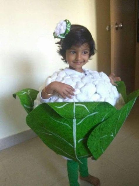 Vegetable Fancy Dress, Fancy Dress Competition Ideas, Fancy Dress Costume Ideas, Vegetable Costumes, Dress Costume Ideas, Fancy Dress Costumes Kids, Fancy Dress Ideas, Fancy Dress Competition, Baby Fancy Dress