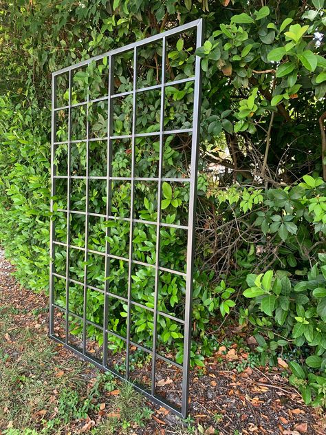 Large Multi Sizes, Classic Metal Garden Wall Mounted Trellis, up to 9ft, photos show 6ft x 4ft All Aluminum, Handmade, roses, climbing vines by ScreenDoorGrilles on Etsy Wall Mounted Trellis, Metal Garden Trellis, Iron Trellis, Wall Trellis, Modern Trellis, Metal Trellis, Arch Trellis, Trellis Fence, Outdoor Trellis