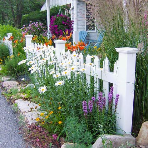 Picket fence with perennial plantings English Garden Front Yard, Front Yard Flowers, Small Front Yard Landscaping, Small Front Yard, Cottage Garden Design, Front Yard Fence, White Picket Fence, Front Yard Landscaping Simple, Front Yard Garden