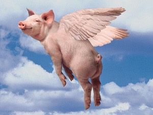 Biffo and the pig that couldn’t fly | DAILY DRONE | Alastair McIntyre Flying Pigs Art, Hatch Drawing, Pig Drawing, Pig Art, Flying Pig, Funny Profile Pictures, Arte Animal, Flip Book, 귀여운 동물