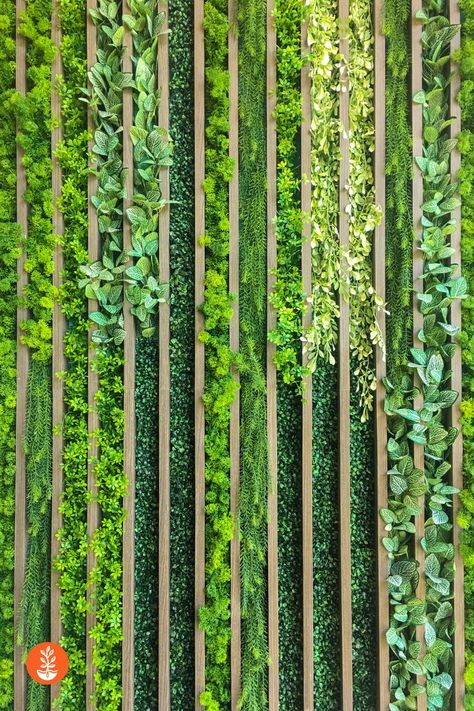 Vertical Plant Wall, Ideas Para Decorar Jardines, Grow Vertically, Green Wall Garden, Vertical Green Wall, Vertical Planting, Vertical Garden Design, Timber Screens, Garden Mural