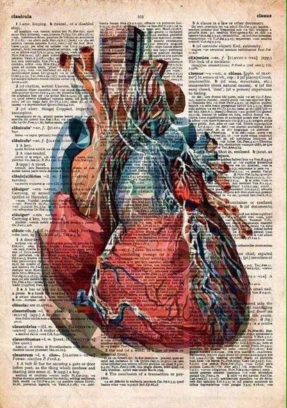 Vintage Medical Art, Quirky Interior, Anatomy Wall Art, Anatomical Heart Art, Medical Drawings, Medical School Life, Medical Posters, Medical Wallpaper, Med School Motivation